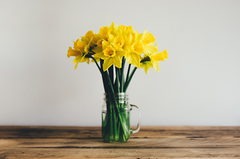 Frühlingsblumen schon in den kalten Monaten. Symbolfoto: Unsplash