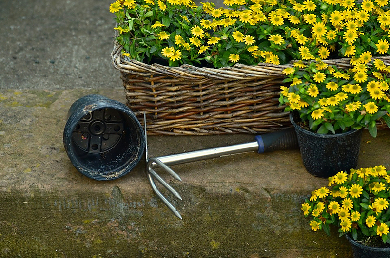 Jens Mays Gartentipp: Erst richtig wässern, dann gut hacken! Foto: Pixabay Jens Mays Gartentipp: Erst richtig wässern, dann gut hacken! Foto: Pixabay