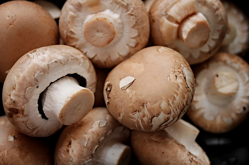 Wenke kocht diesmal Ofen-Apfel mit Camembert-Pilz-Füllung. Foto: Pixabay Wenke kocht diesmal Ofen-Apfel mit Camembert-Pilz-Füllung. Foto: Pixabay