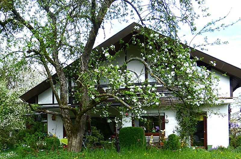 Kontrollieren Sie unbedingt auch die Bäume im Garten. Quelle: Pixabay Kontrollieren Sie unbedingt auch die Bäume im Garten. Quelle: Pixabay
