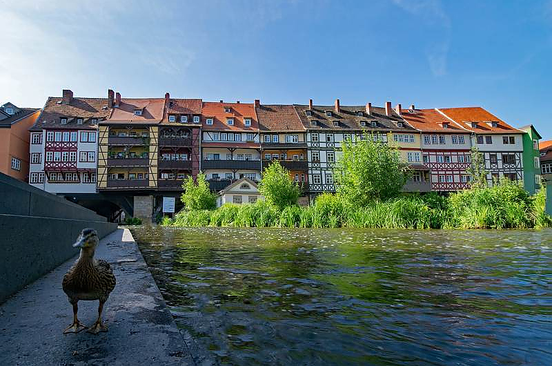 Erfurter Krämerbrücke. Foto: Pixabay