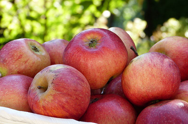 Äpfel, Foto: pixabay
