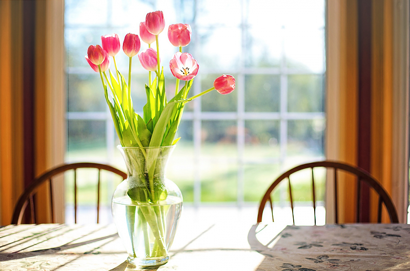 Tulpen; Quelle: Pixabay 