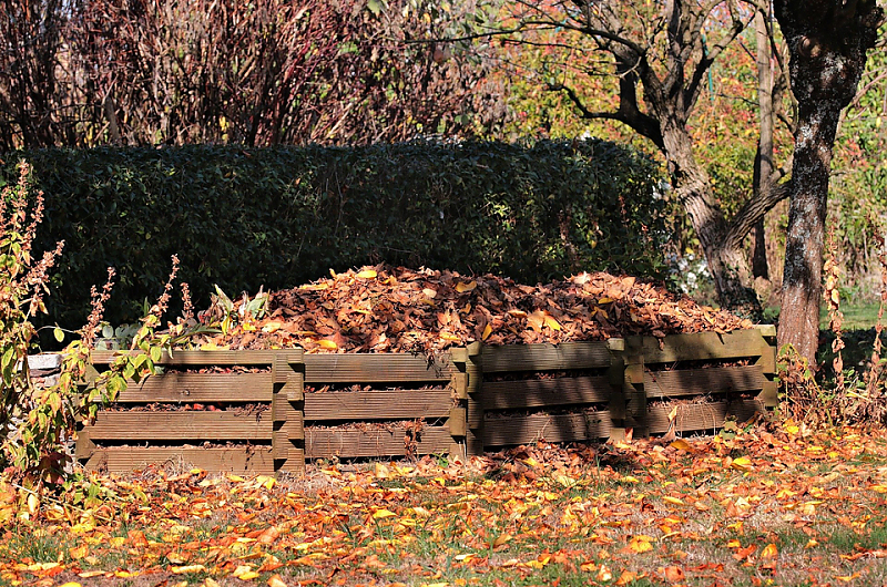 Kompost - wie schaffe ich mehr Platz? Sinnbild: Pixabay 
