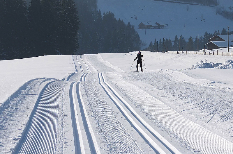 Loipe, Symbolbild: Pixabay