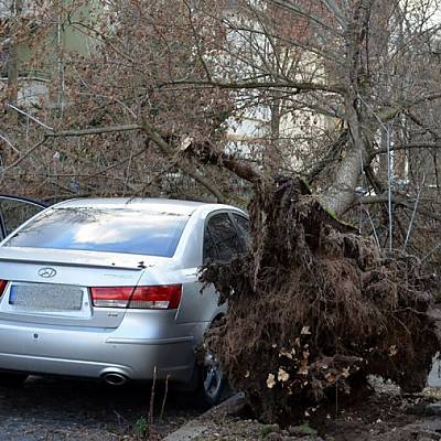 Sturm in Thüringen