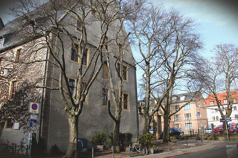 Bäume wurden am Palais in Weimar gefällt, Foto: Redaktion