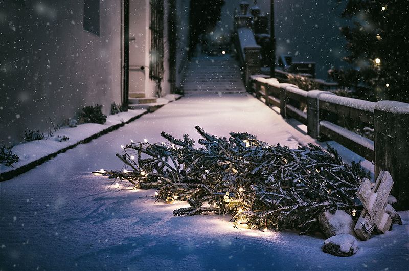 Hier werden Sie Ihren Baum los!