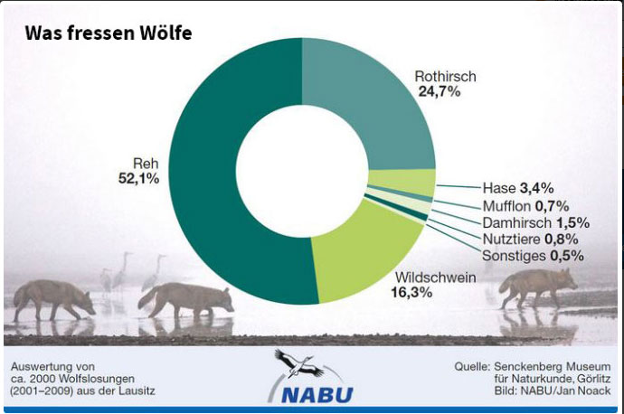 Grafik Nabu Grafik Nabu