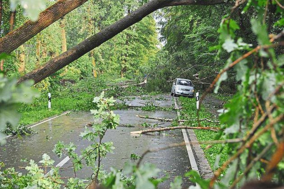 Gräfinau-Angstedt. Foto von Hörer David