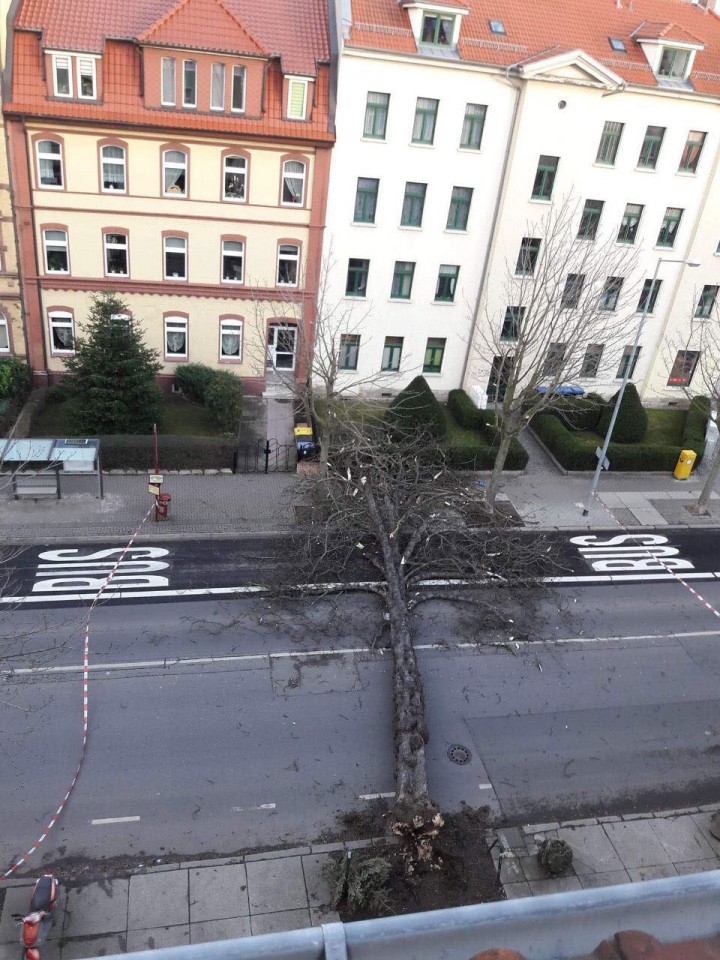 Erfurt: Ernst Thälmann Straße. Foto von Hörerin Elle